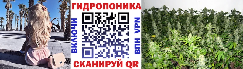 Бошки Шишки AK-47  Анива 